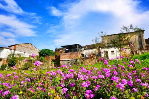 坑三：不会留种