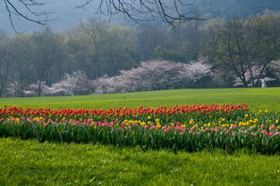 南方四月，花的世界