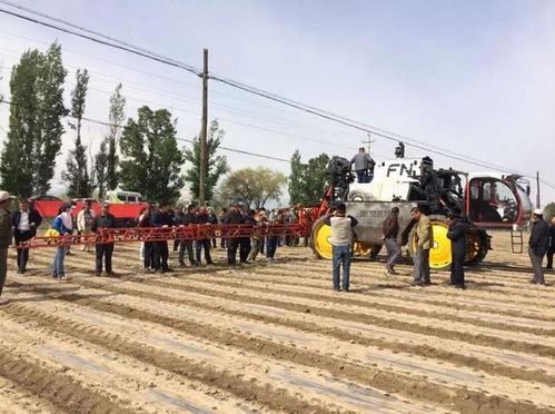 昌吉木垒县农药厂的位置揭秘