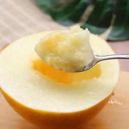 黄河蜜瓜种植技术，掌握要点
