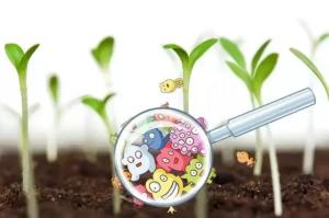 土壤微生物群落的秘密