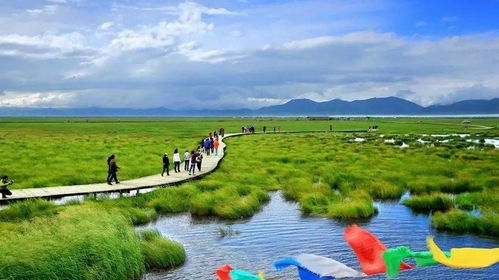 种草致富，老王家的两层小楼是怎么来的？