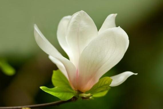 怎么治疗这讨厌的病呢？