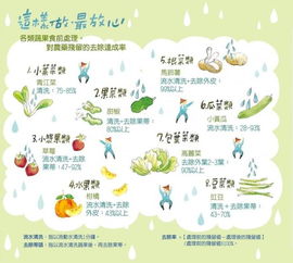 冲洗与浸泡的顺序