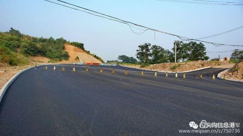 李先生的公路护坡绿化选择