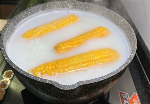 煮玉米只需5分钟，口感如何