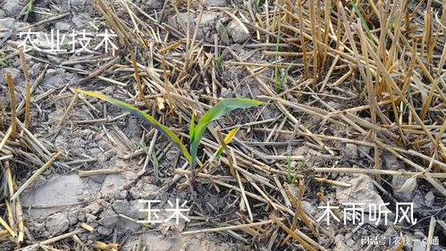 雨量和时长的影响