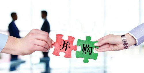 冬春换季，鸡场警惕五大流行病