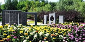 数码世界的自然之旅