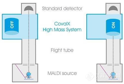 揭秘己唑醇分子量的神秘之旅