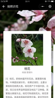 识花君——拍照识花的魔法师