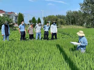 农业养殖防六疫，健康养殖保丰收