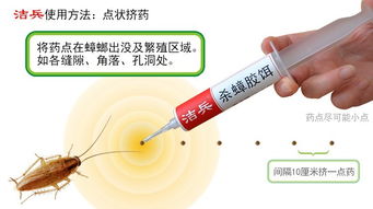 灭蟑螂胶饵哪个牌子好，吡虫啉成分的胶饵能有效杀蟑螂吗？