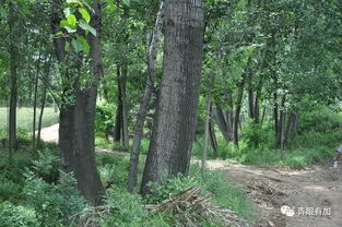 实地探访三大渠道