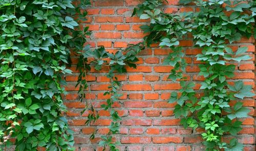 攀爬的技巧：一吸一放， 不断攀升