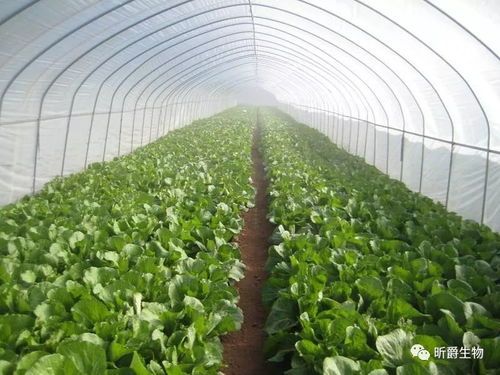 选对时间，技巧全靠它