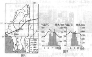 雪松的分布：南北差异与乡土情怀