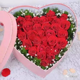 九朵玫瑰花分别代表什么含义？它们背后有哪些象征之谜