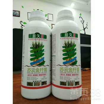 新药上市，蒜蛆不用愁！