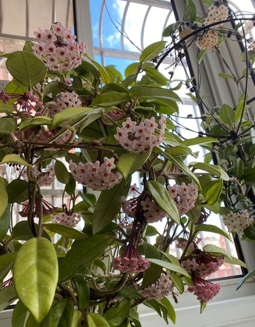 施肥的时间和方式也要讲究哦