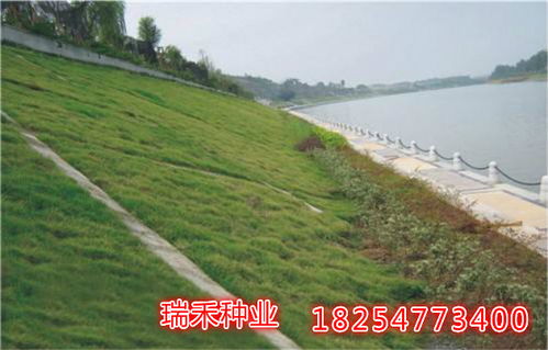 失败的经验教训，给我们带来了什么？