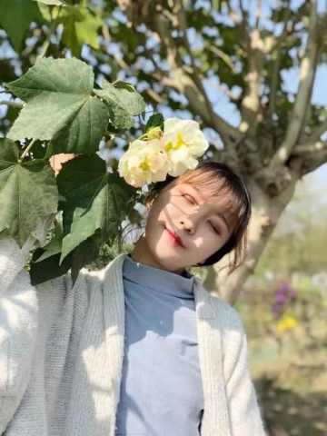 春日花海：从早春到初夏