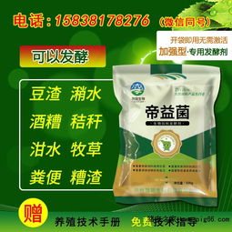 霉变饲料可以发酵吗？安全处理方案中的三步再生法可行吗？