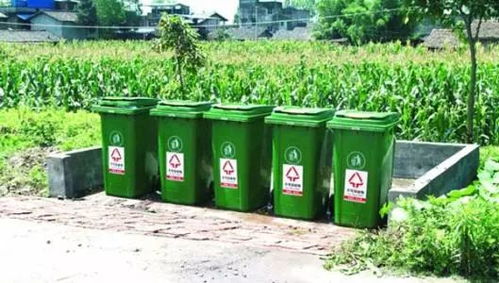 农村生活：辛劳与坚持