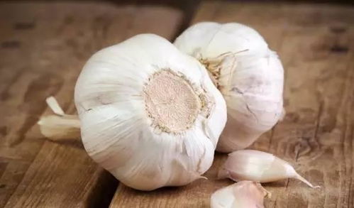 多菌灵泡蒜， 防治多种病害