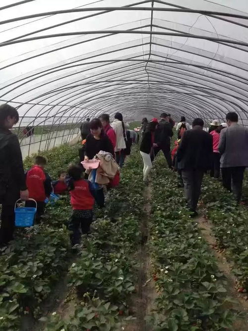 南阳国家农业科技园区，农业宝藏的摇篮