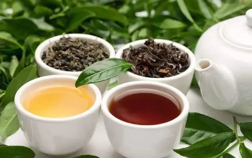 三环唑：茶叶病害的克星