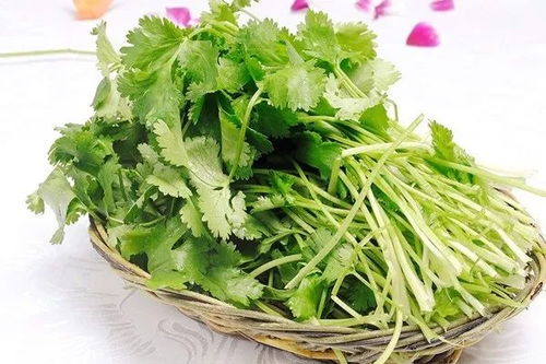 吃香菜好处多多，但你知道它的坏处吗