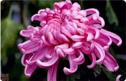 十年从业者经验分享