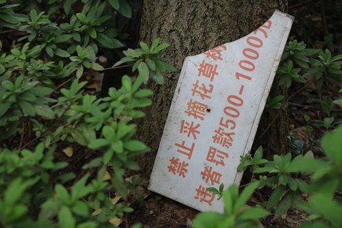 冬天打农药，有啥讲究？