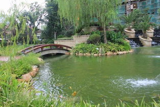 广州特色园林多， 就像老街巷一样，各有各的味道