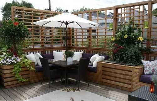 垂直绿化植物墙的品种