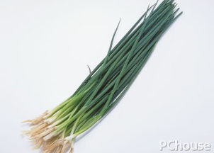 葱的种类与青葱之谜