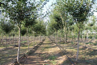 瞬息万变的当今社会