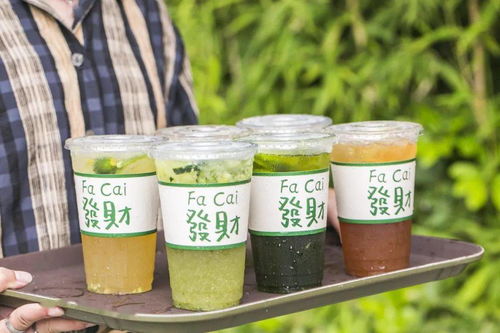 果汁阳台杯苗：小巧玲珑， 家庭种植新宠