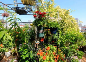 打造四季花园的技巧