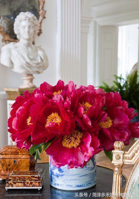 牡丹配芍药，古典韵味十足