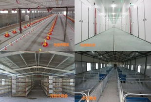 养殖场烟熏消毒，选什么牌子的产品效果Zui好？