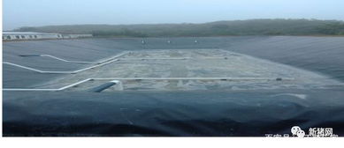 贺州花卉业：沼气池普及率领跑全区，绿色种植引领新风向