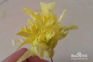 皱纹纸牡丹花制作不难？老手教你轻松完成