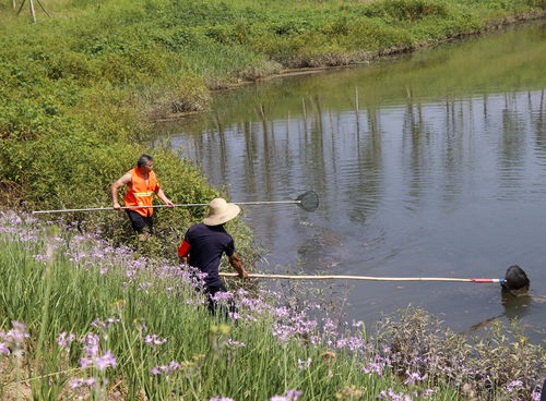 生态修复， 不只是种草