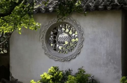 乔木的秋日画卷