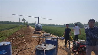 小麦喷药，方法要讲究！