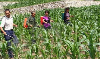 农艺措施配合， 除草效果才好