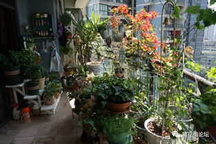 昆明植物园的春季组合