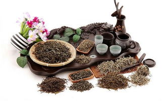 茶油渣:环保肥料新选择,提升茶叶品质的秘密武器!